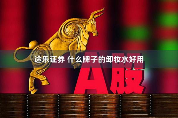 途乐证券 什么牌子的卸妆水好用